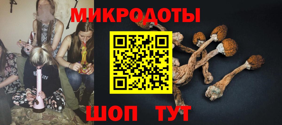 Галлюциногенные грибы мицелий Бугуруслан